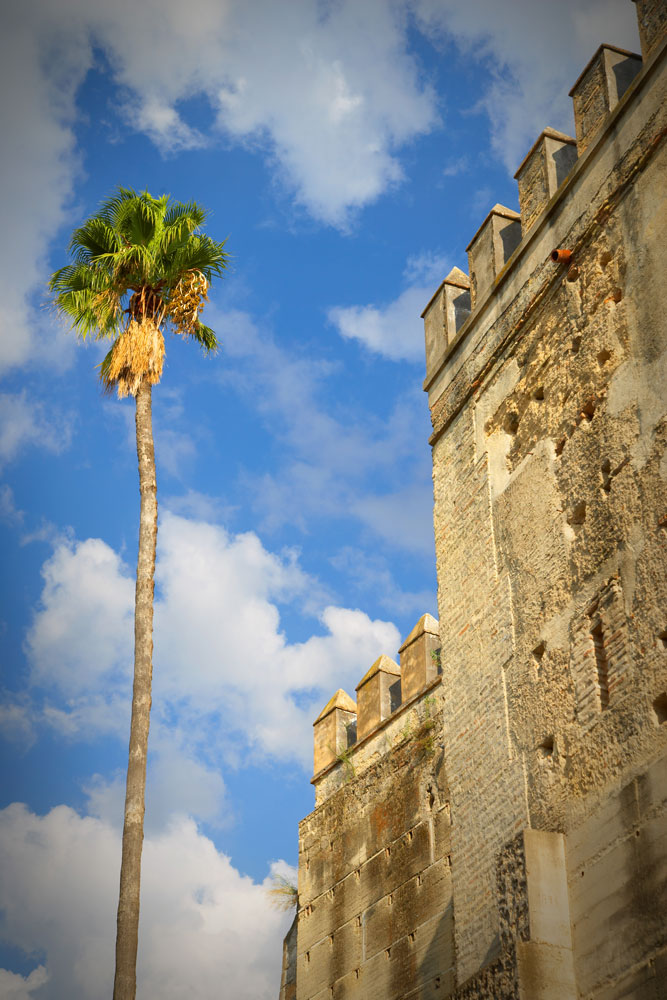 Alcazar